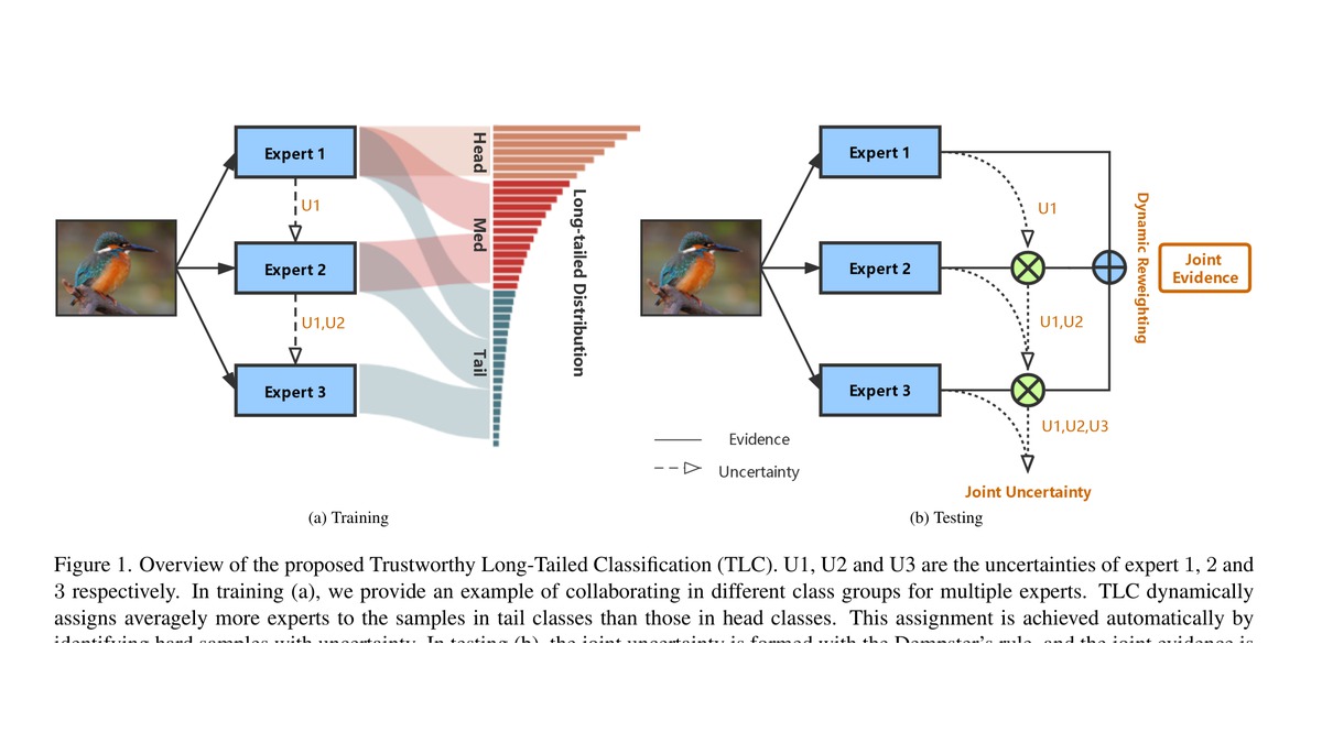 Overview figure for Trustworthy Long-tailed Classifications